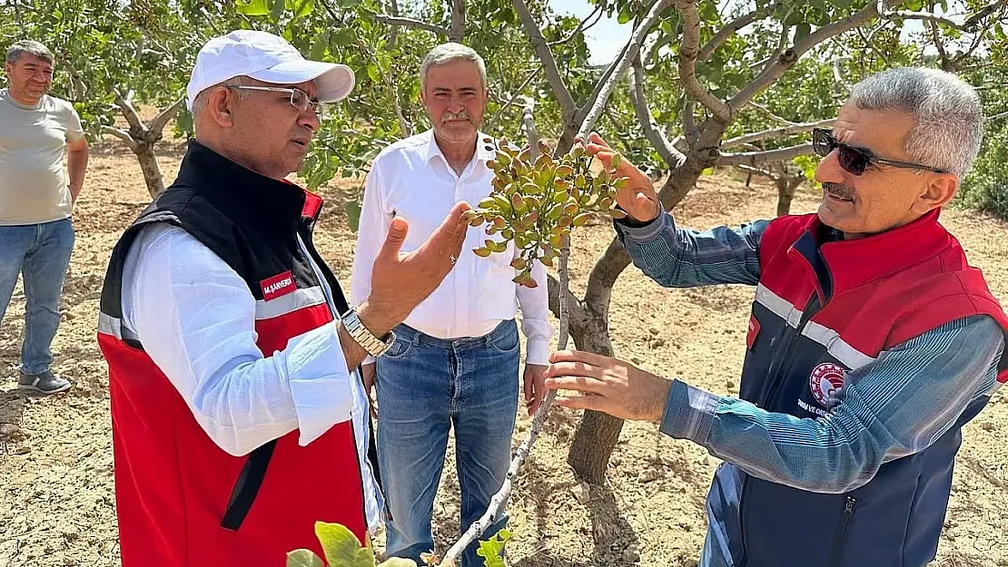 Siirt İl Tarım Müdürü Mustafa Şanverdi, Tillo'da Çiftçilerle Buluştu