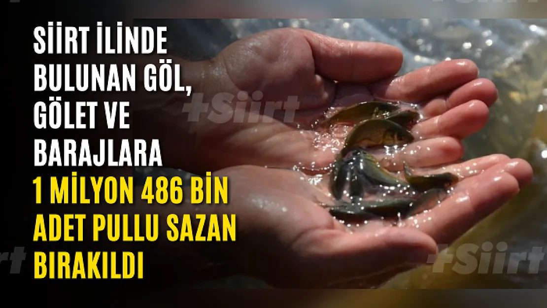 Siirt ilinde bulunan göl, gölet ve barajlara  1 Milyon 486 Bin adet Pullu Sazan bırakıldı