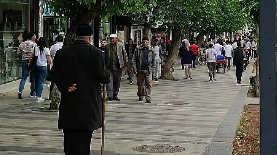 Siirt'in Göç Nedenleri Belli Oldu! Bakın kaç Kişi Neden Siirt'ten Ayrıldı