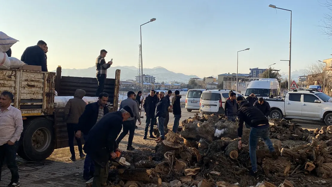 Siirt'in Şirvan ilçesinden deprem bölgesine yakacak odun gönderildi