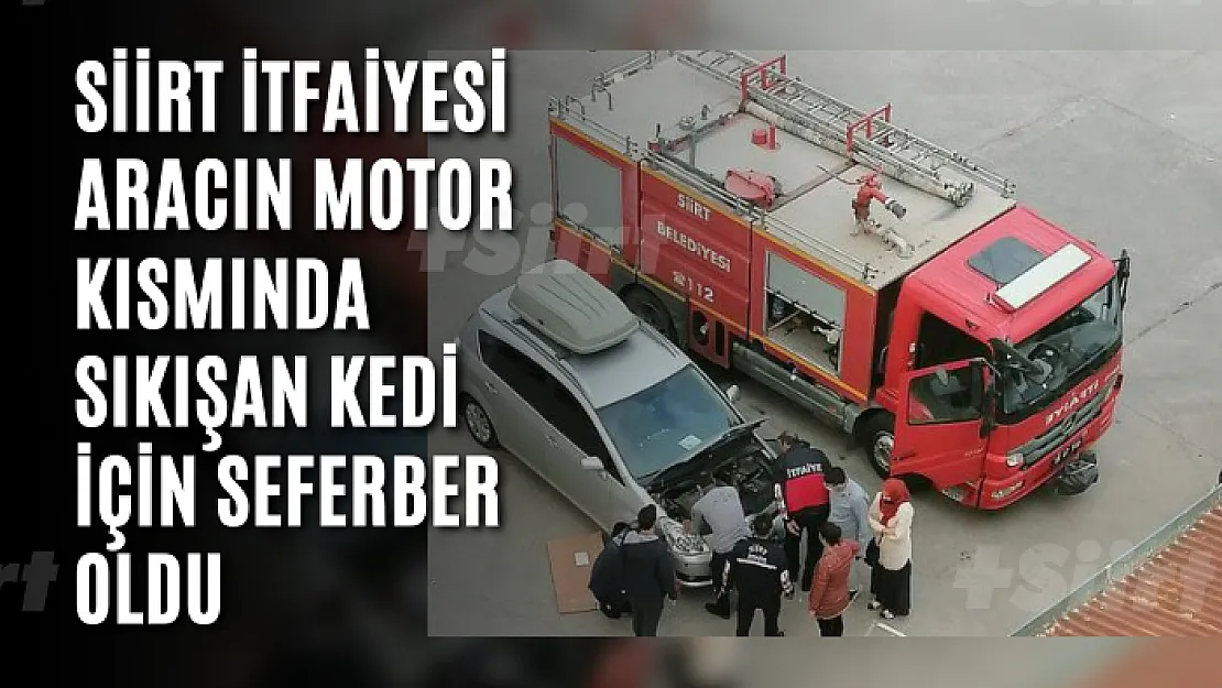 Siirt İtfaiyesi Aracın Motor Kısmında Sıkışan Kedi İçin Seferber Oldu