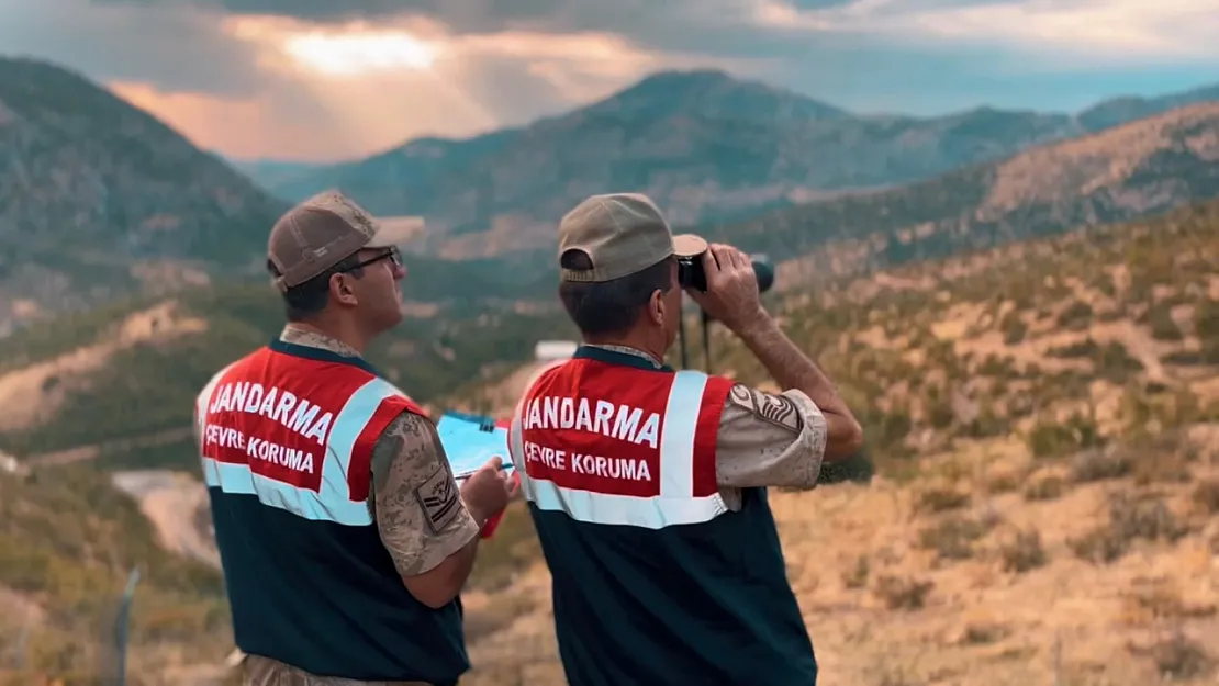 Siirt Jandarmasından Doğayı Koruma Çalışmaları