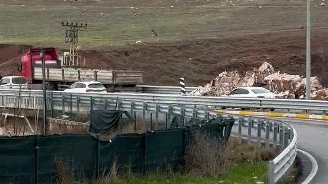 Siirt-Kurtalan Karayolu'nda TIR'dan Saçılan Geri Dönüşüm Malzemeleri Trafiği Aksattı