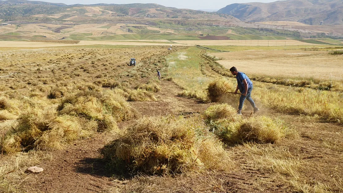 Siirt Kurtalan Ovası Büyük Ova Koruma Alanı İlan Edildi