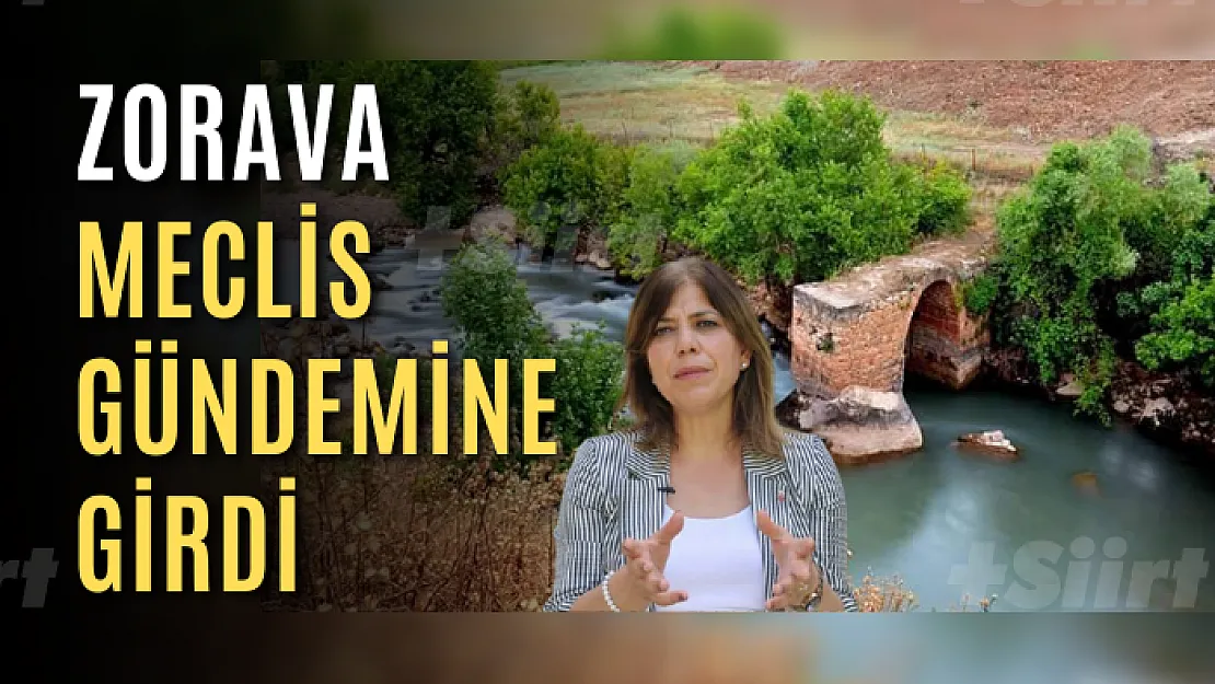 Siirt Milletvekili Beştaş Zorava Çayı İçin Soru Önergesi Verdi