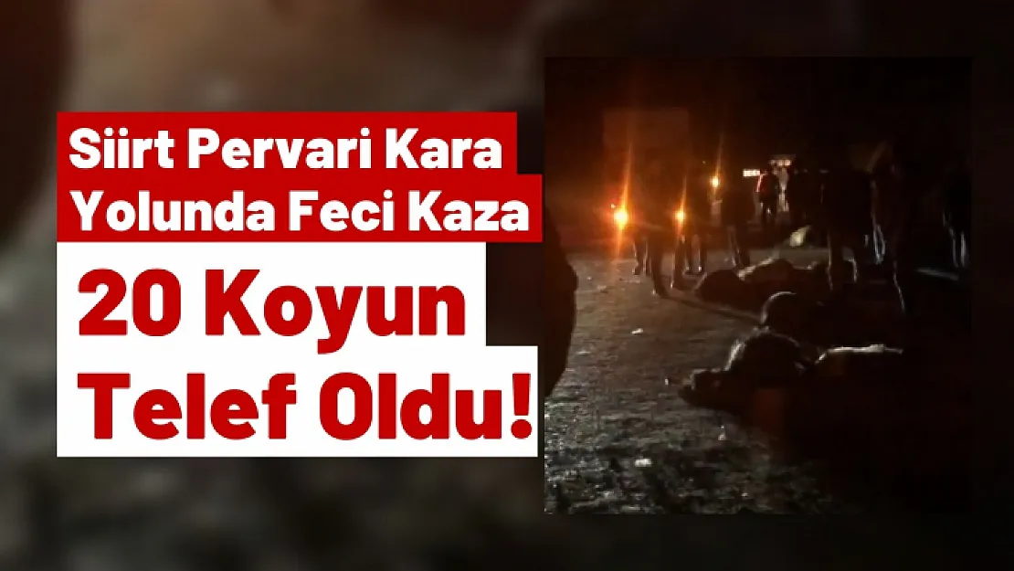 Siirt Pervari Kara Yolunda Feci Kaza: 20 Koyun Telef Oldu!