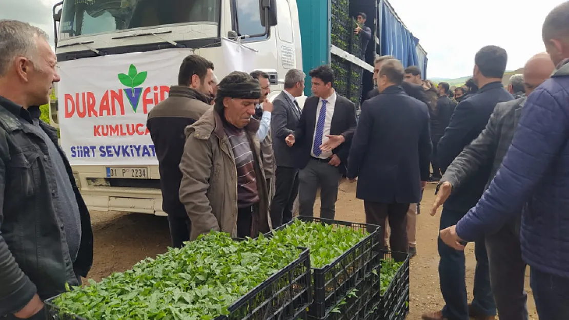 'Siirt Sebzecilikle Canlanıyor Projesi' İle Siirtli Çiftçilere 268 Bin Fide Dağıtılıyor