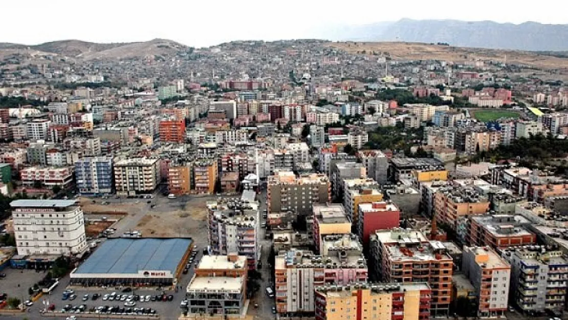 Siirt Seçim Sonucu Açıklandı! Hangi Aday Kaç Oy Aldı?