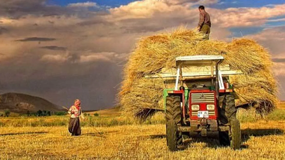 Siirt Tarım ve Orman İl Müdürlüğü'nden ÇKS Başvurusu Uyarısı