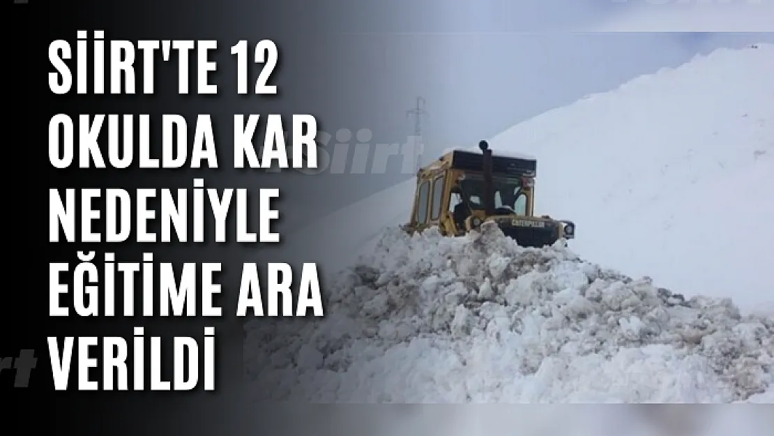 Siirt'te 12 Okulda Kar Nedeniyle Eğitime Ara Verildi