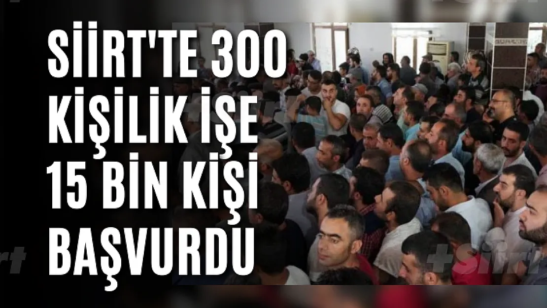 Siirt'te 300 Kişilik İşe 15 Bin Kişi Başvurdu