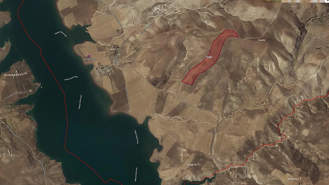 Siirt'te 97 Dönümlük Tarla İcradan Satışa Çıkıyor