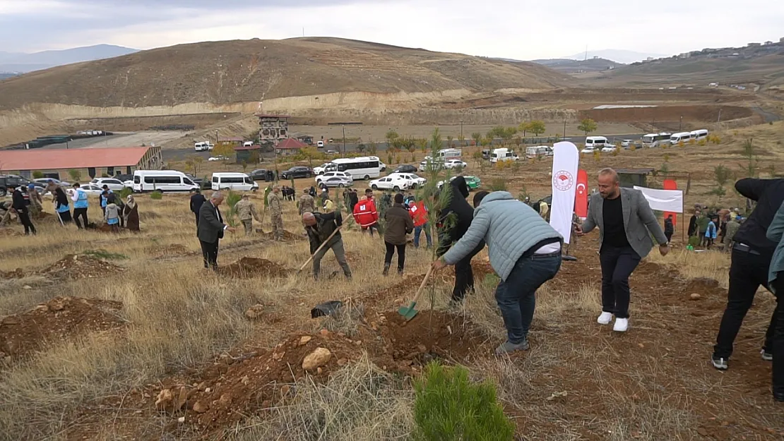 Siirt'te Ağaç Dikme Seferberliği 