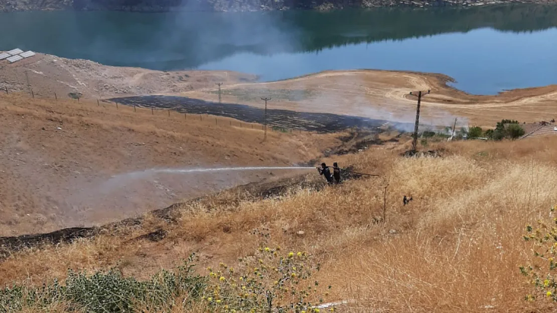 Siirt'te Anız Yangınları Baş Göstermeye Başladı