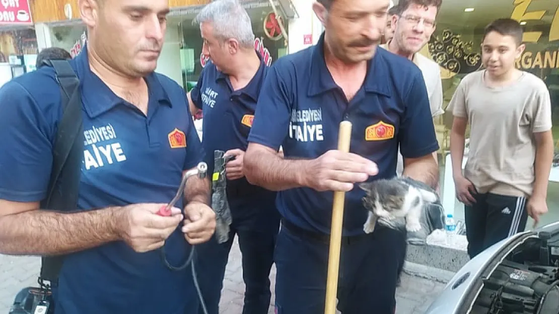 Siirt'te Araç Motoruna Sıkışan Yavru Kedi Kurtarıldı