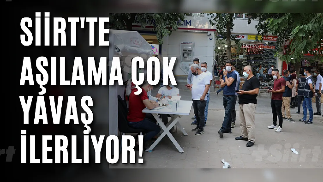 Siirt'te aşılama çok yavaş ilerliyor!