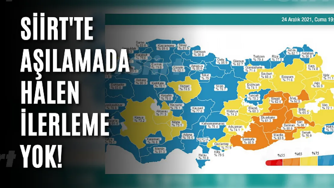 Siirt'te aşılamada halen ilerleme yok!