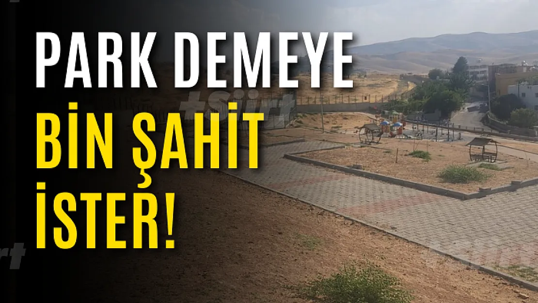 Park Demeye Bin Şahit İster!