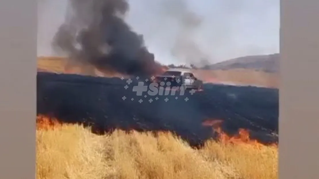 Siirt'te buğday tarlasında park halindeki araç yanarak kullanılamaz hale geldi