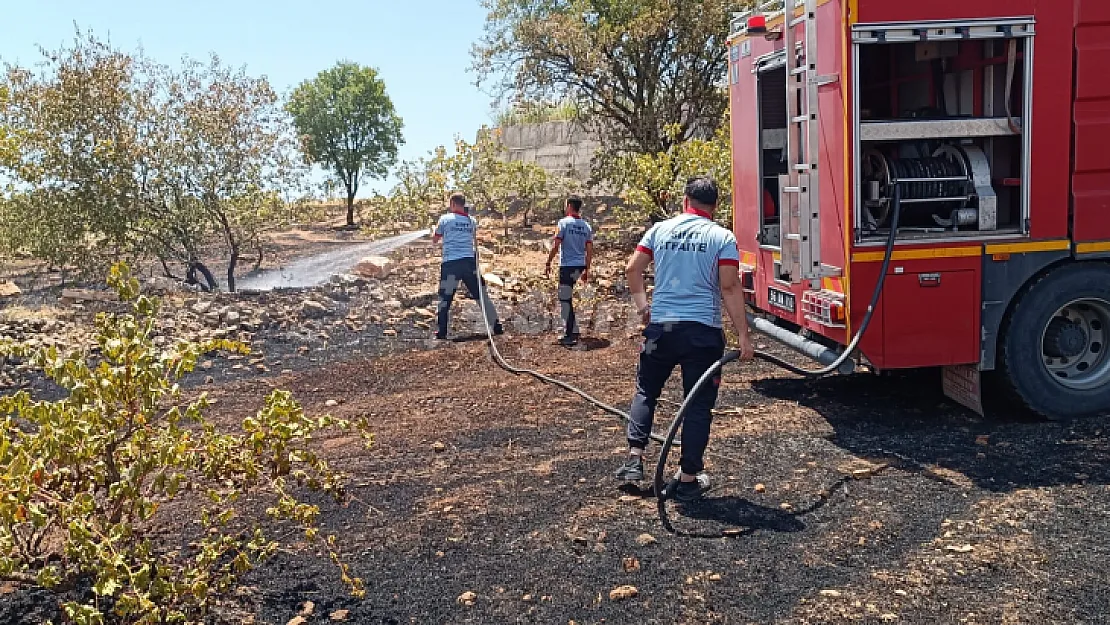 Siirt'te çiftçinin onca yıllık emeği küle döndü!