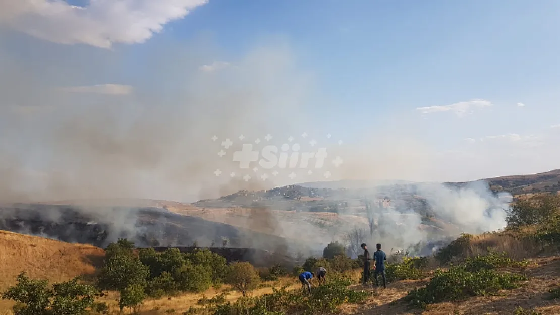 Siirt'te çıkan yangında 20 dönüm fıstık ve üzüm bağı zarar gördü