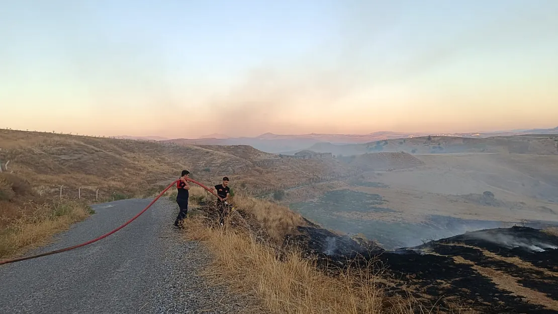 Siirt'te çıkan yangında 25 dönüm alan zarar gördü