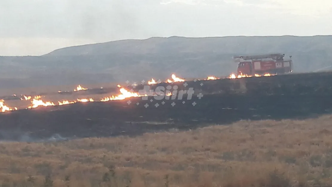 Siirt'te Çıkan Yangında 80 Dönüm Tarım Arazisi Zarar Gördü!