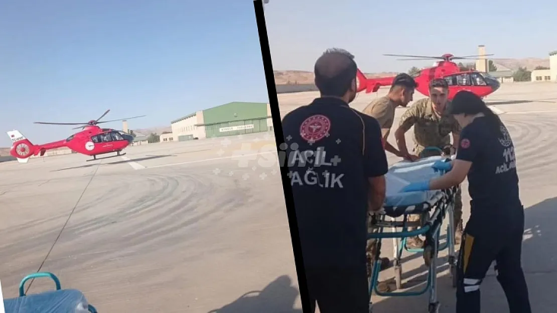 Siirt'te çobana akrep soktu! Ambulans helikopterle hastaneye kaldırıldı!