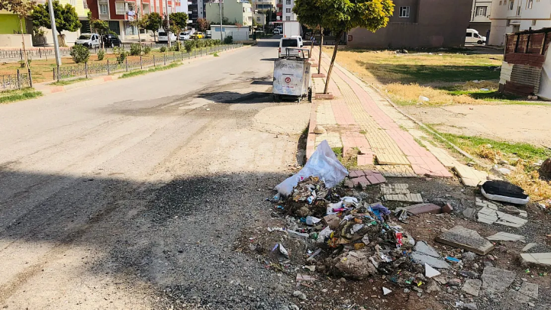 Siirt'te çöpü yanı başındaki çöp bidonlarına dökmeyip insanların geçtiği kaldırıma döktü