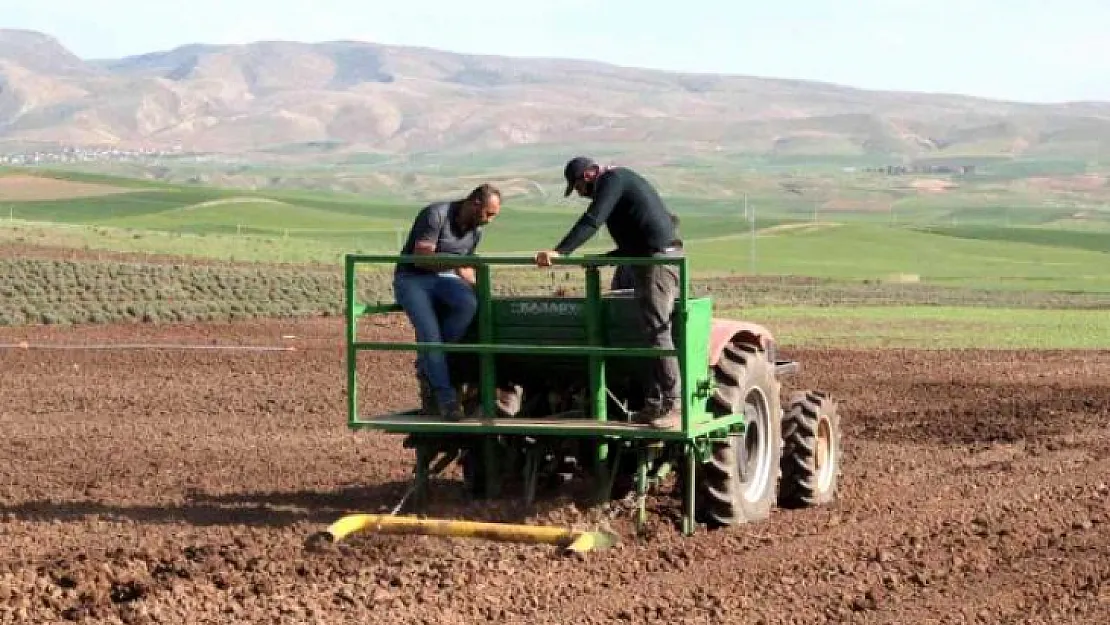 Siirt'te deneme amaçlı patates ekimi yapıldı