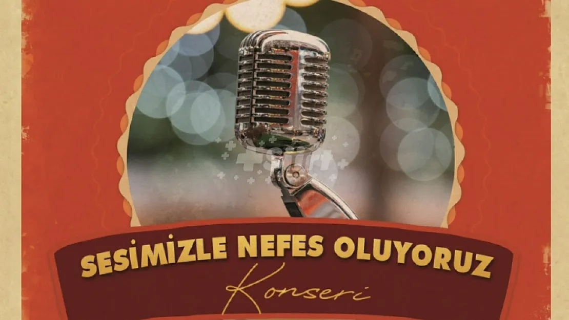 Siirt'te Depremzedeler Yararına Öğretmenler Tarafından Konser Verilecek