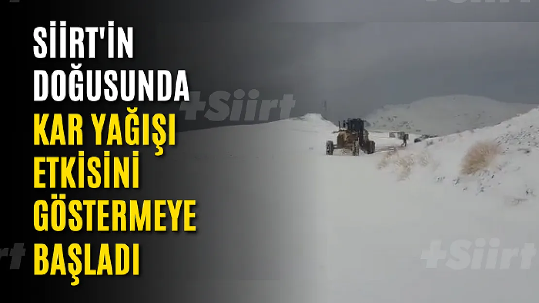 Siirt'in Doğusunda Kar Yağışı Etkisini Göstermeye Başladı