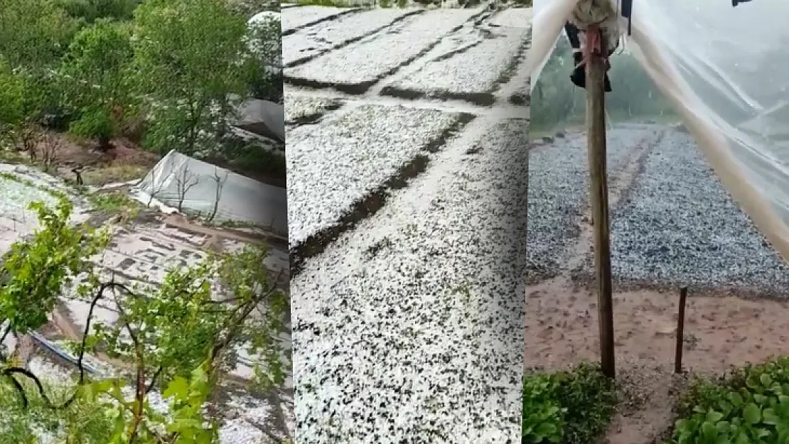 Siirt'te Dolu Felaketi! Çiftçilerin Milyonlarca Liralık Ürünü Heba Oldu!