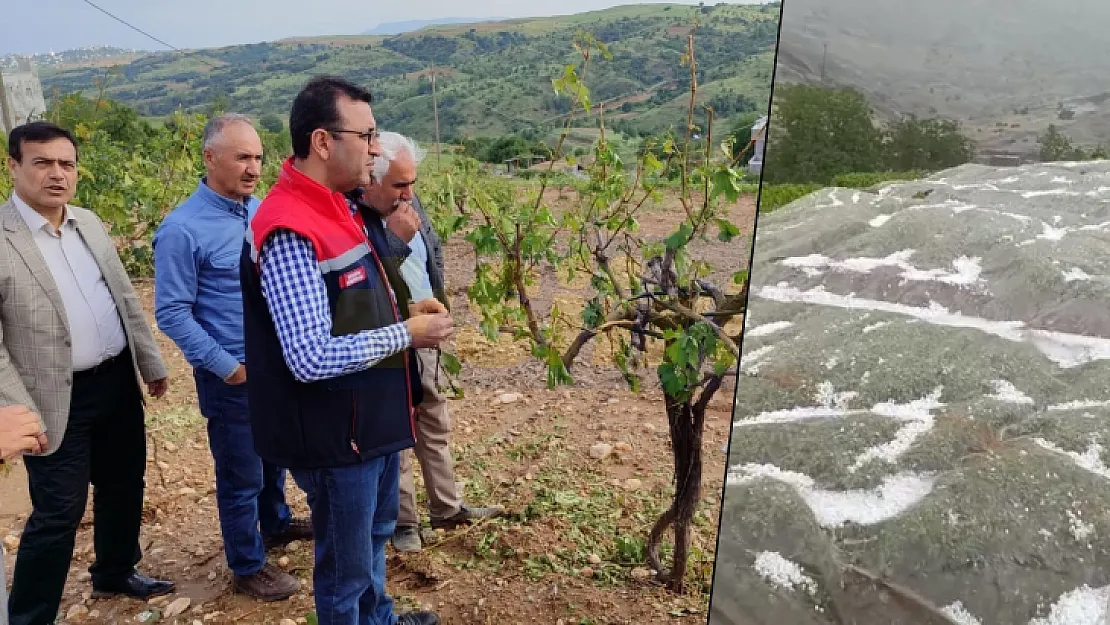 Siirt'te dolu yağışı sebze ve fıstık bahçeleri zarar gördü