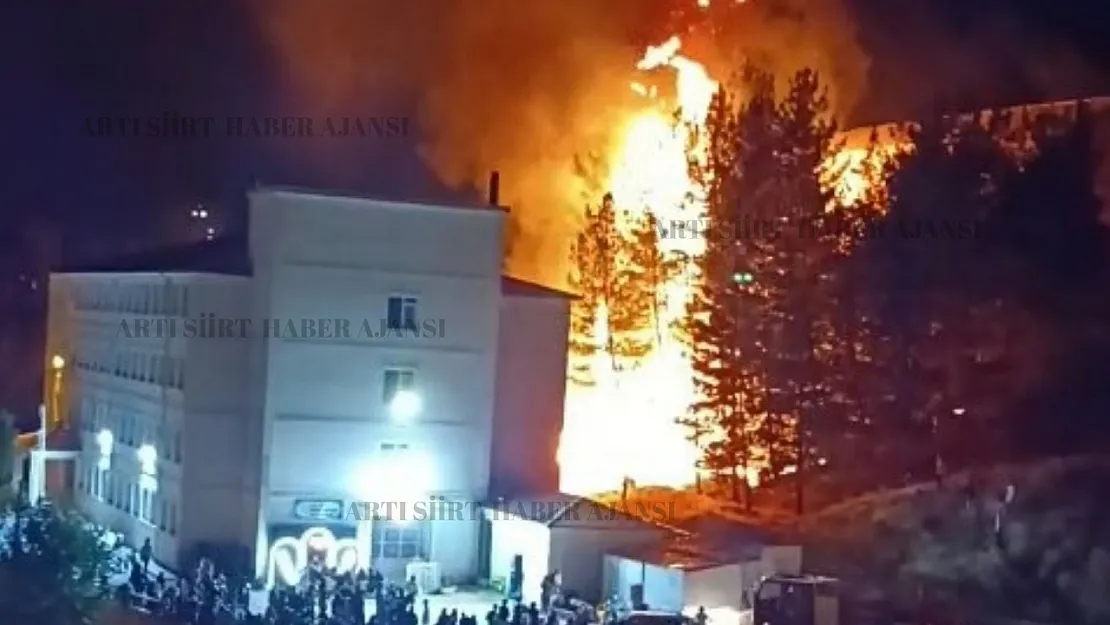 Siirt'te Düğün Eğlencesi Yangına Dönüştü: Havai Fişekler Ağaçlık Alanda Yangın Çıkardı