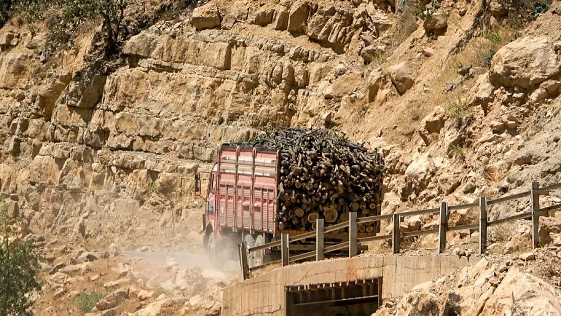 Siirt'te Ekolojik Platform Eksikliği Dikkat Çekiyor: Doğa Tahribatlarına Karşı Ortak Ses Gerekiyor
