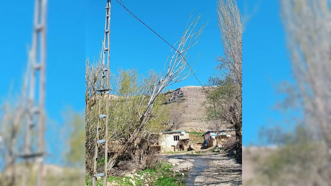 Siirt'te Elektrik Tellerinin Üzerine Ağaç Devrildi