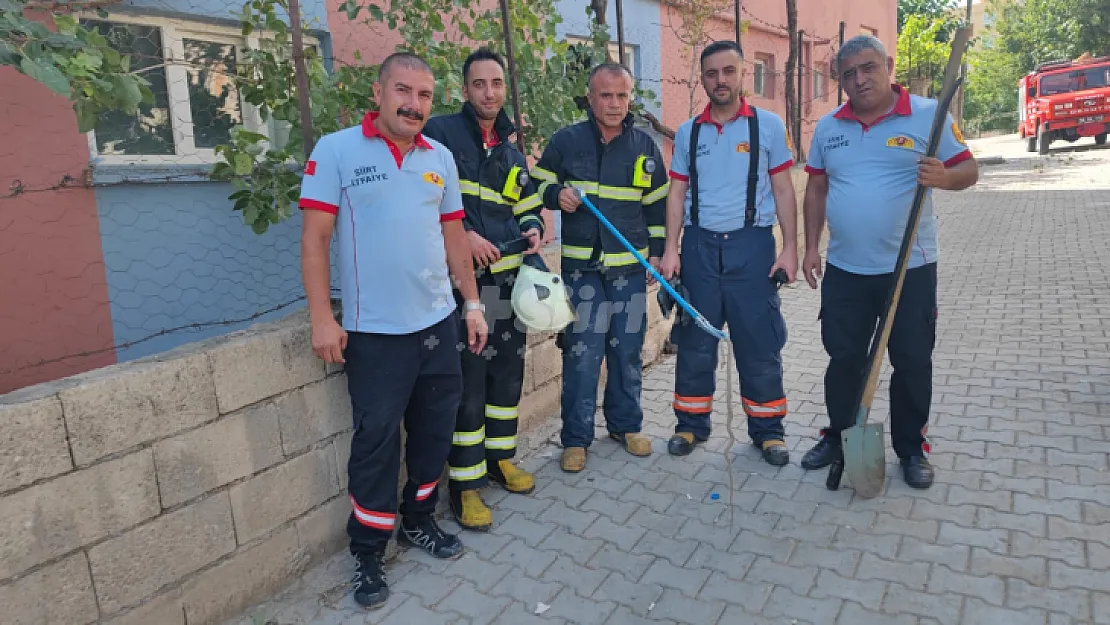 Siirt'te Eve Giren Yılanı İtfaiye Ekipleri Yakaladı