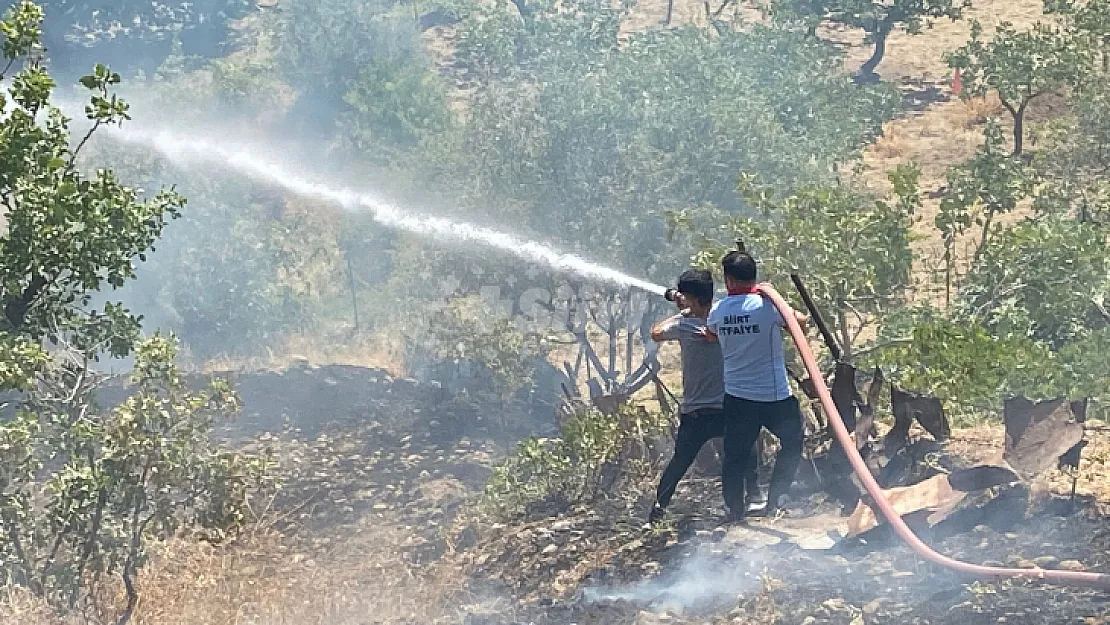 Siirt'te fıstık bahçesinde çıkan yangın güçlükle söndürüldü!