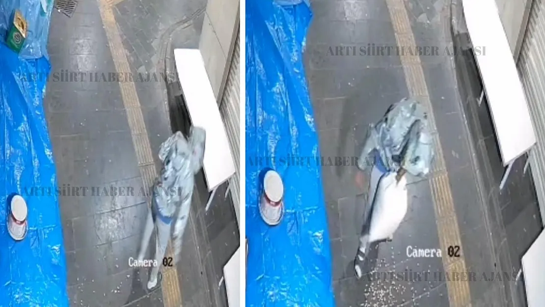 Siirt'te Fıstık Hırsızlığı Kamerada: Emniyet 12 Saatte Şüpheliyi Yakaladı