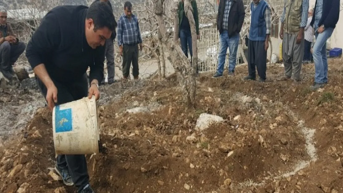 Siirt'te Fıstık Üreticilerine Önemli Duyuru!