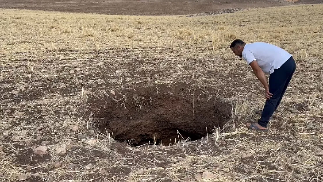 Siirt'te Giderek Artıyorlar! Vatandaşlar Tehlike Altında...