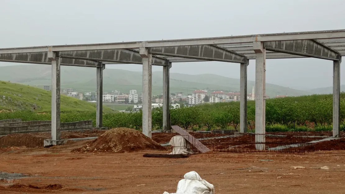 Siirt'te Günlük 1500 Ton Süt Üretimi Yapılacak Tesis Kuruluyor