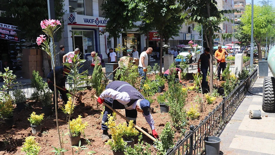 Siirt'te Güres Caddesi'ne Estetik Dokunuş: Yeşil Alanlar Yenilendi