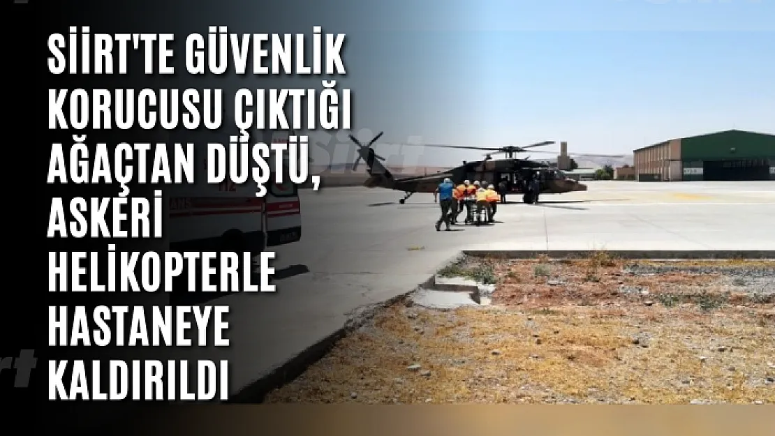 Siirt'te Güvenlik Korucusu Çıktığı Ağaçtan Düştü, Askeri Helikopterle Hastaneye Kaldırıldı