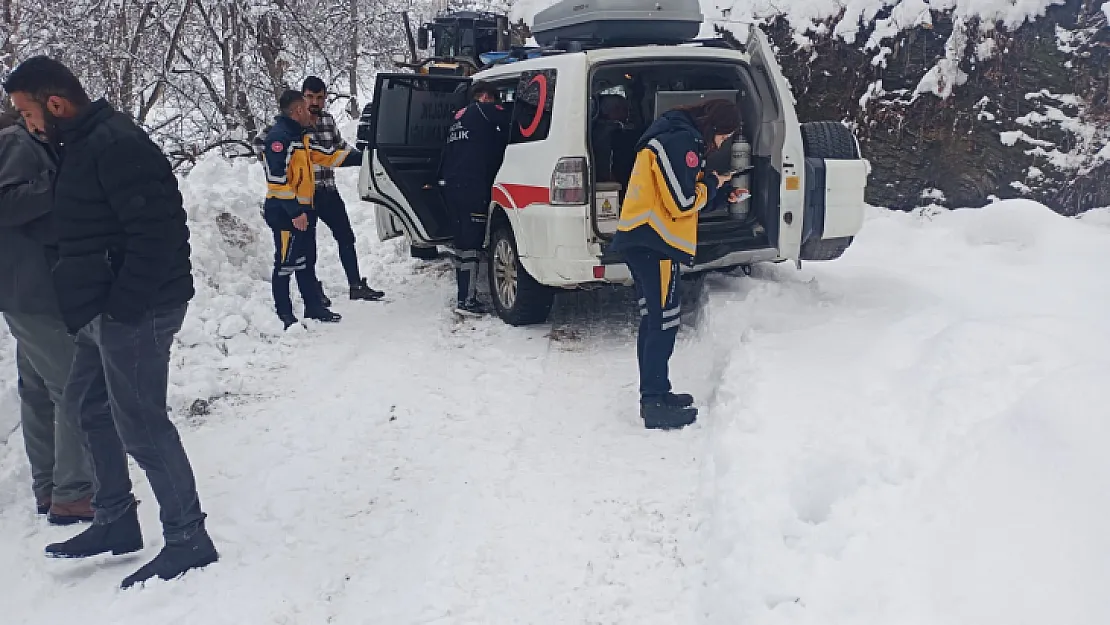 Siirt'te Hamile Kadın Uzun Uğraşlar Sonucunda Hastaneye Yetiştirildi