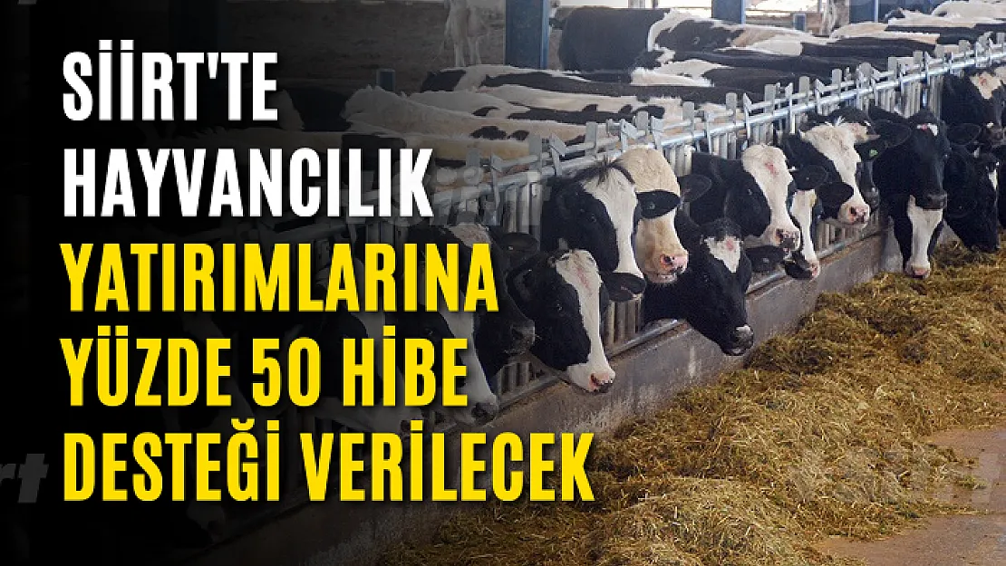 Siirt'te Hayvancılık Yatırımlarına Yüzde 50 Hibe Desteği Verilecek