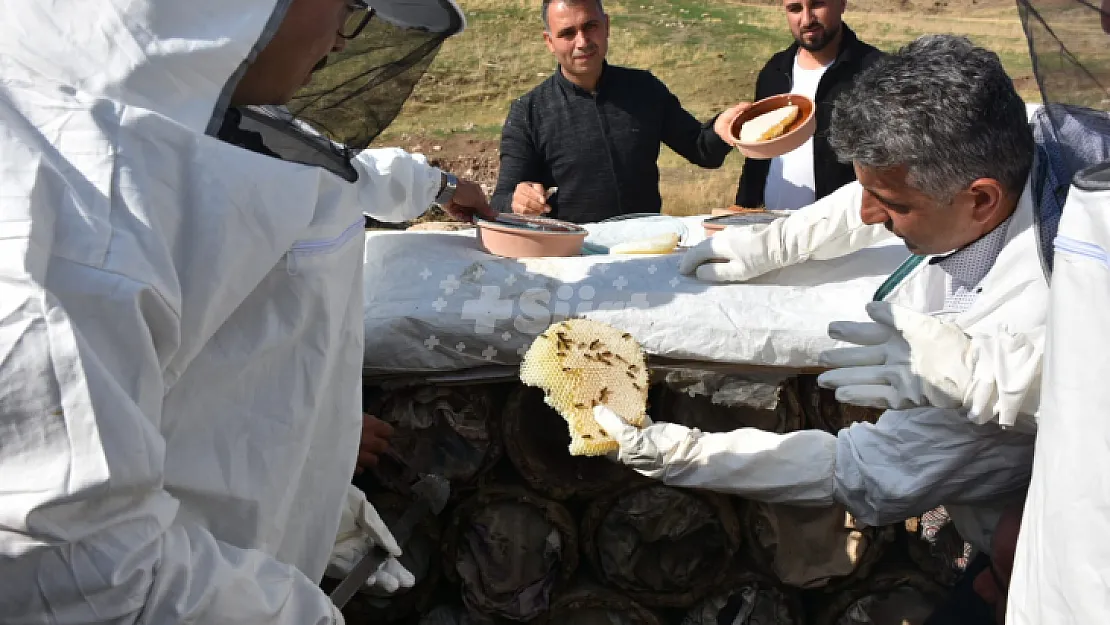 Siirt'te Herekol Dağı Eteklerinde Bal Hasadı