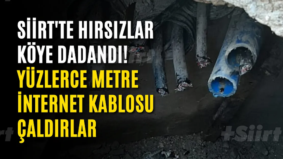 Siirt'te Hırsızlar Köye Dadandı! Yüzlerce Metre İnternet Kablosu Çaldırlar