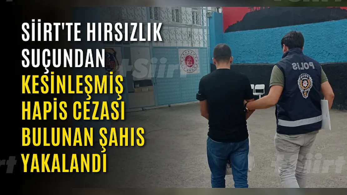 Siirt'te Hırsızlık Suçundan Kesinleşmiş Hapis Cezası Bulunan Şahıs Yakalandı